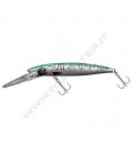 Mackerel