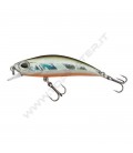 Minnow