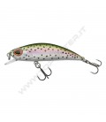 Rainbow Trout