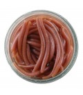 Berkley Gulp Alive Angleworm