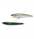 Sardine