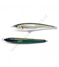 Sardine