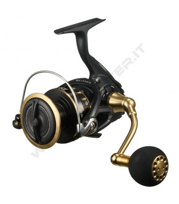 Daiwa 23 BG SW