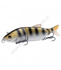 Zander