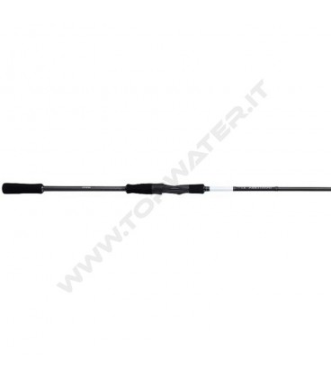 Shimano Bassterra XTP + Sea Bass