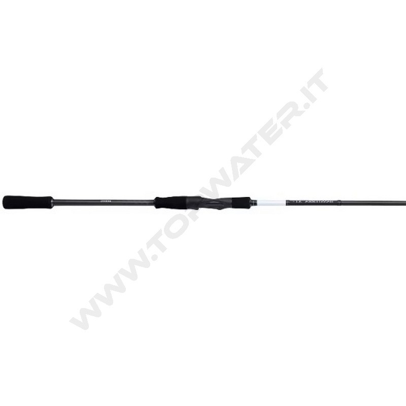 Shimano Bassterra XTP + Sea Bass