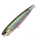 Ghost Minnow