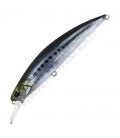 Real Sardine
