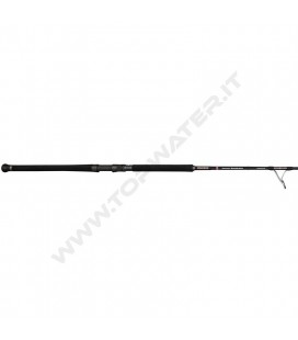 Penn Marine Brigade Offshore Casting Spin