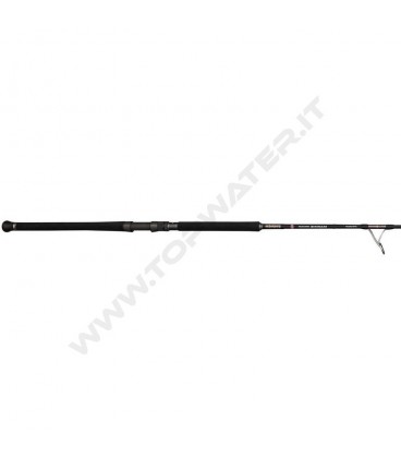 Penn Marine Brigade Offshore Casting Spin