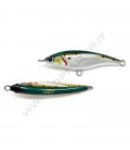 Sardine