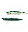 Mackerel