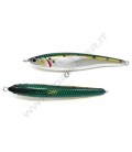 Sardine