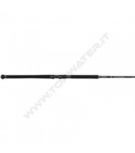 Penn Marine Brigade Offshore Casting Spin