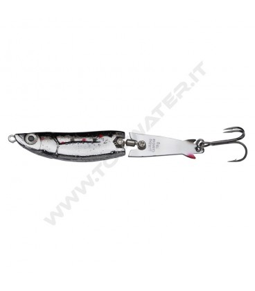Black Back Minnow