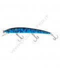 F and B Goby