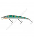 Anchovy Orange Striped