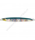Sardine