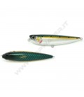 Sardine