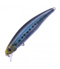 Real Sardine