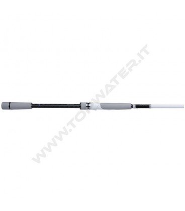 Shimano canna Stradic Spinning Seabass