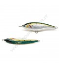 Sardine
