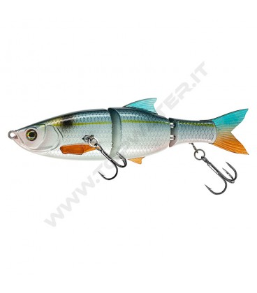 Treadfin Shad