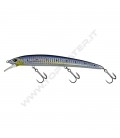 Blue Sarda