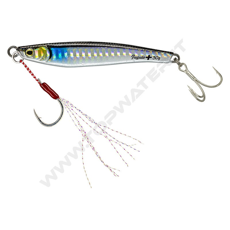 Molix Jugulo Plus Casting jig