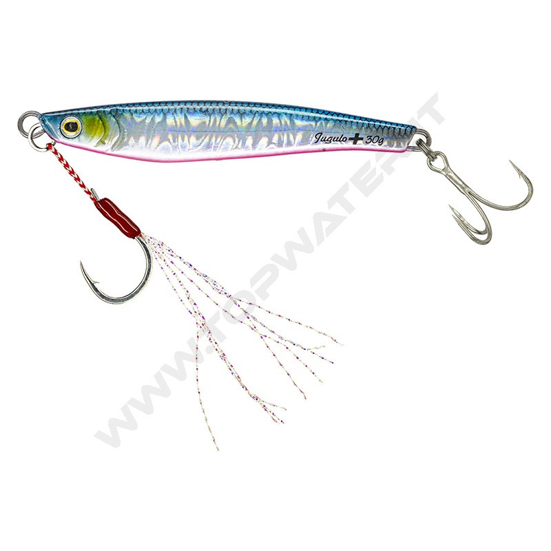 Molix Jugulo Plus Casting jig