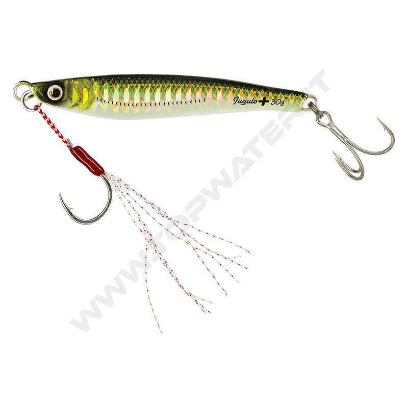 Molix Jugulo Plus Casting jig