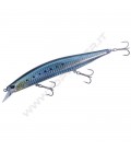 Sardine