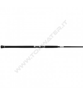 Shimano Grappler Type C Spinning 2025