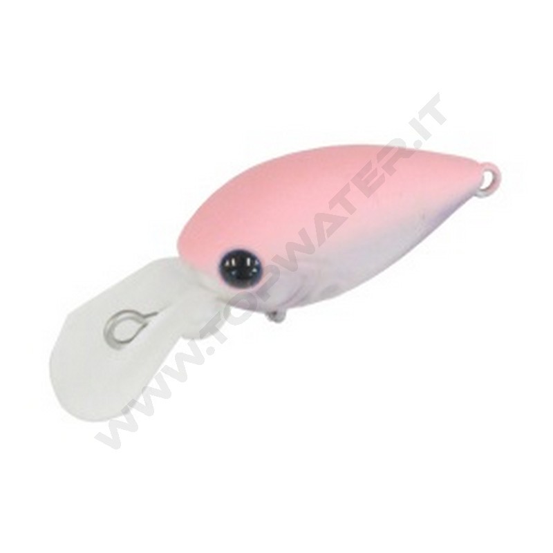 Daysprout Pico ChatteCra DR