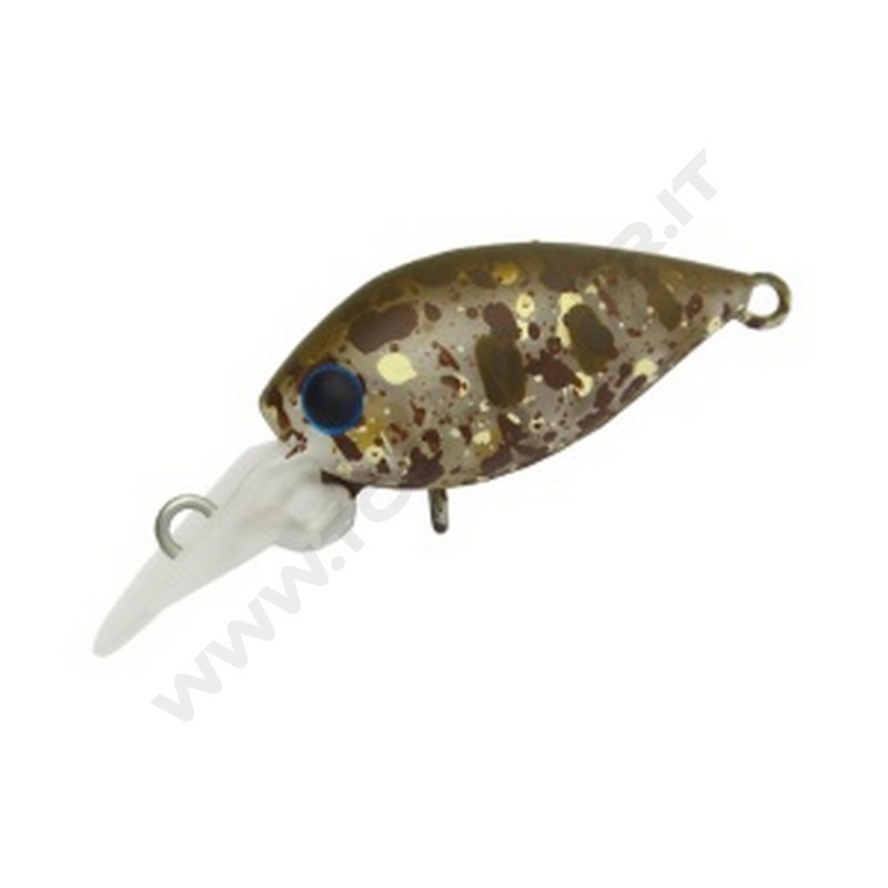 Daysprout Pico ChatteCra DR