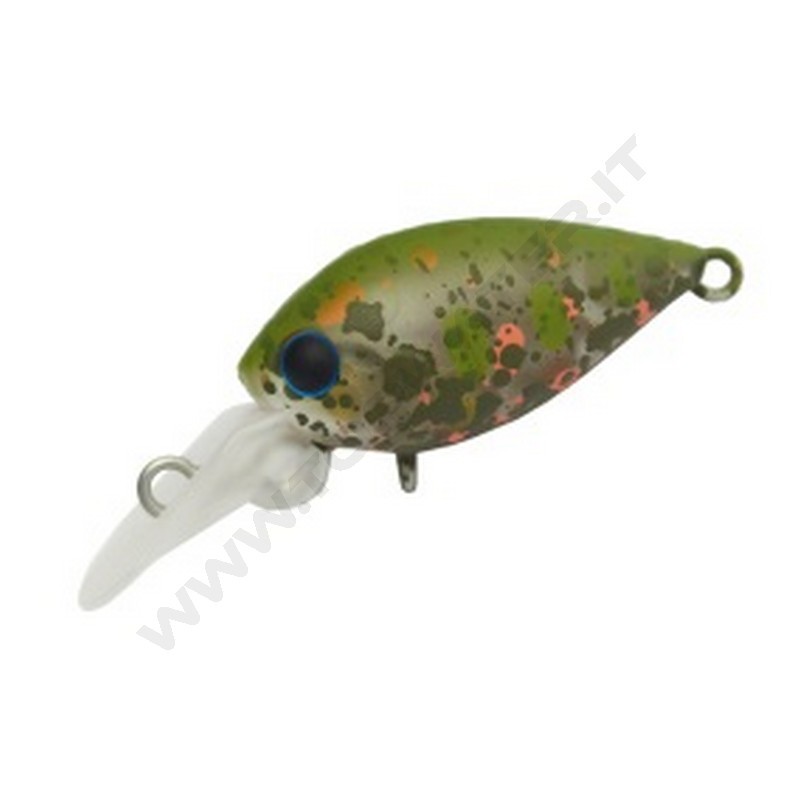 Daysprout Pico ChatteCra DR