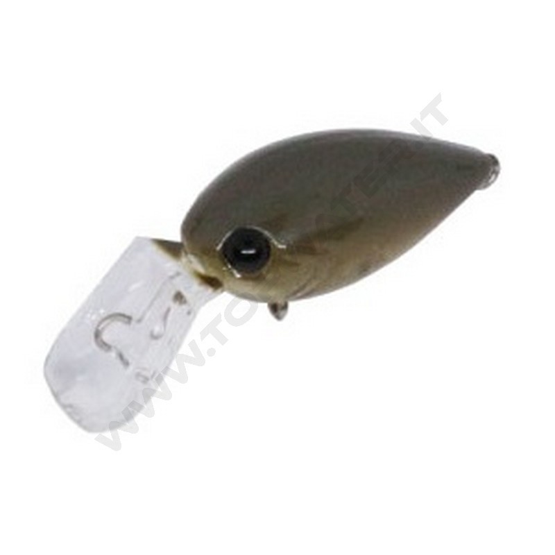 Daysprout Pico ChatteCra MD