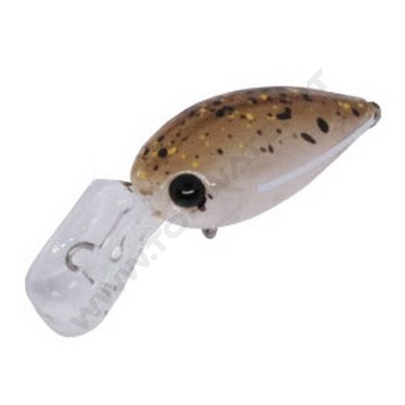 Daysprout Pico ChatteCra MD