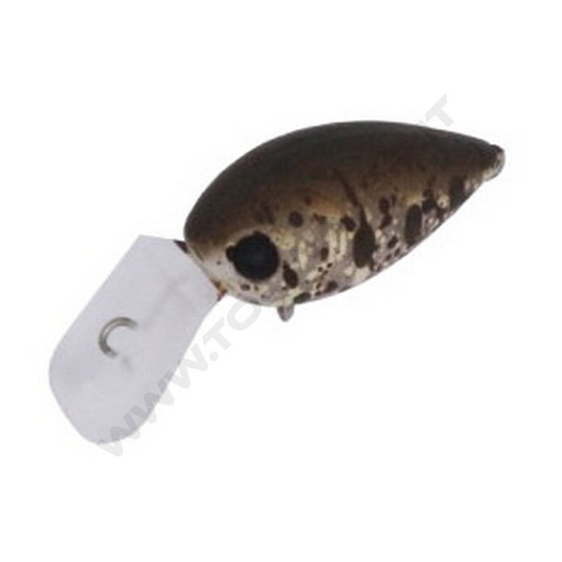 Daysprout Pico ChatteCra MD