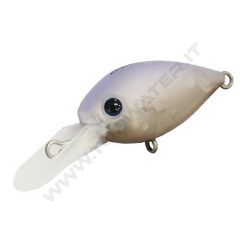 Daysprout ChatteCra DR