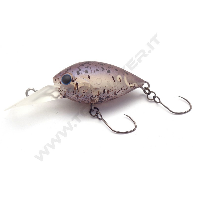 Daysprout ChatteCra DR