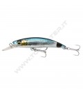Saddled Bream