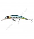 Sardine