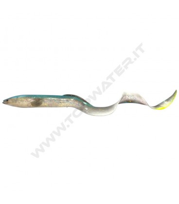 Chameleon Eel