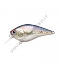 MS American Shad