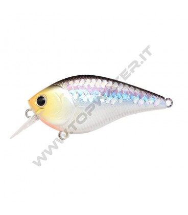 MS Impulse Shad