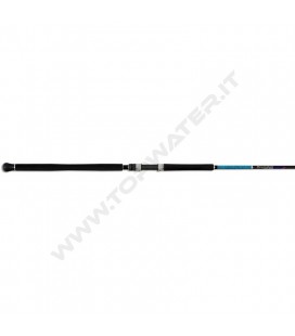 Smith Dragonbait Sea-Bass Shore J