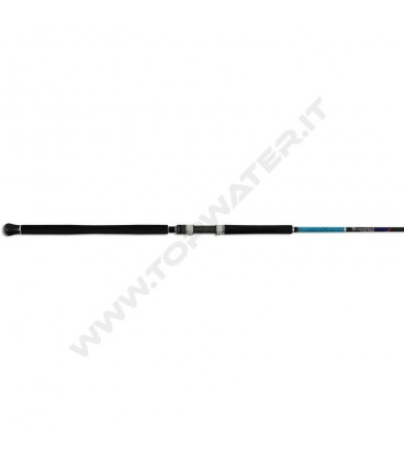 Smith Dragonbait Sea-Bass Shore J