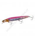 A Red Sardine
