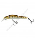 MX Brown Trout